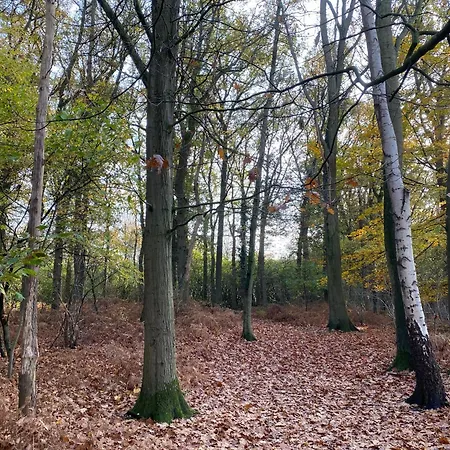 Groepsaccommodatie - De Ooymanhoeve Doetinchem Esterno foto