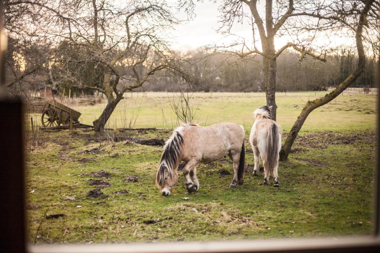 Groepsaccommodatie - De Ooymanhoeve