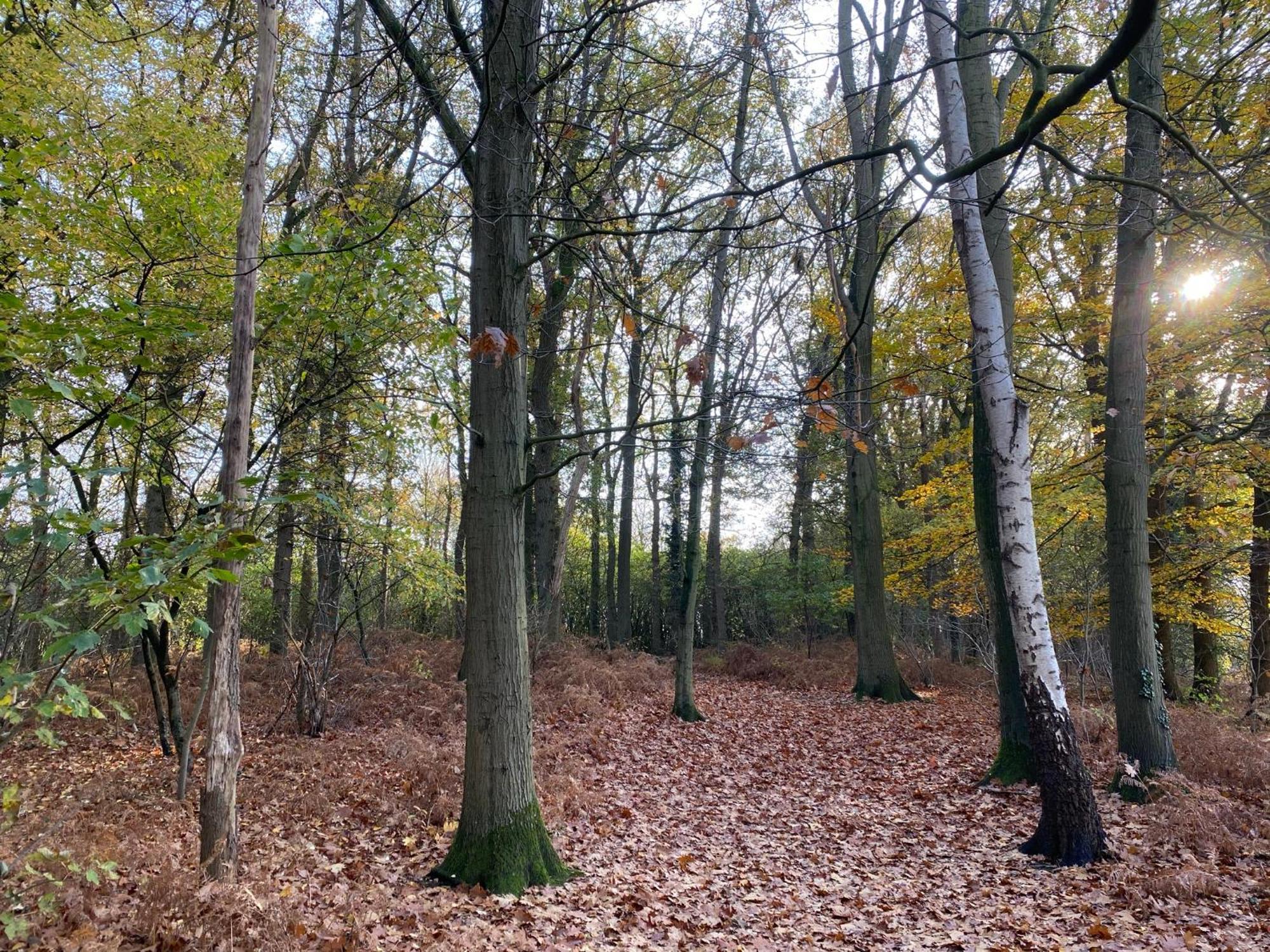 Groepsaccommodatie - De Ooymanhoeve Doetinchem